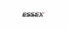 Essex Soulutions Germany GmbH`